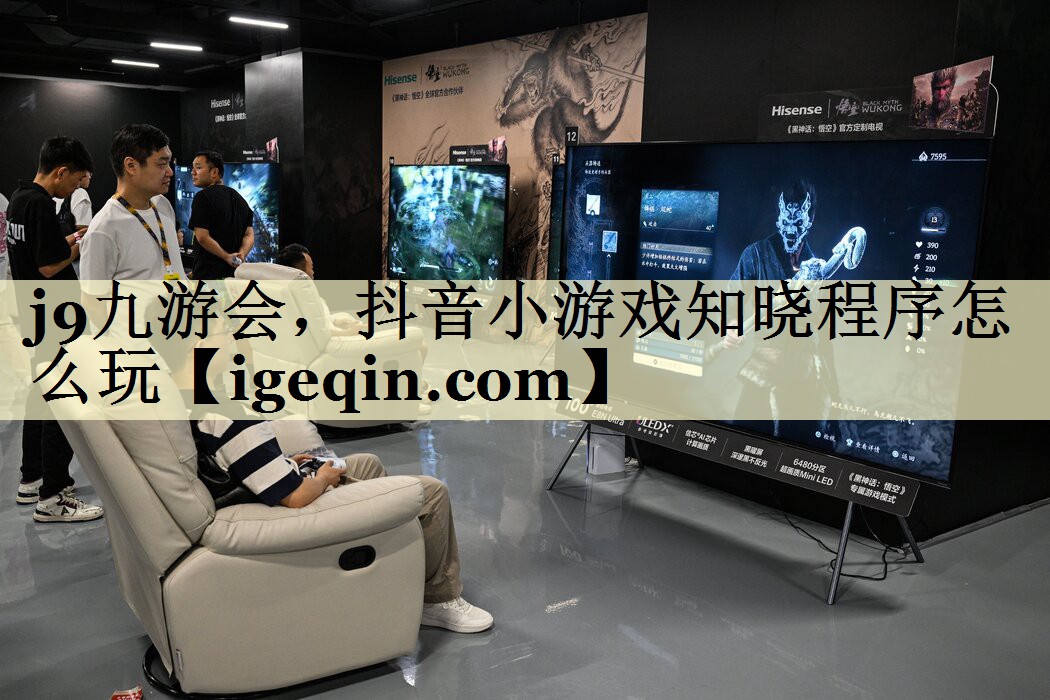南宫28NG，抖音小游戏知晓程序怎么玩