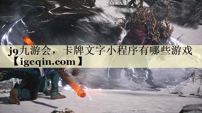 南宫28NG，卡牌文字小程序有哪些游戏